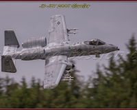 1GLOVELIER 0523